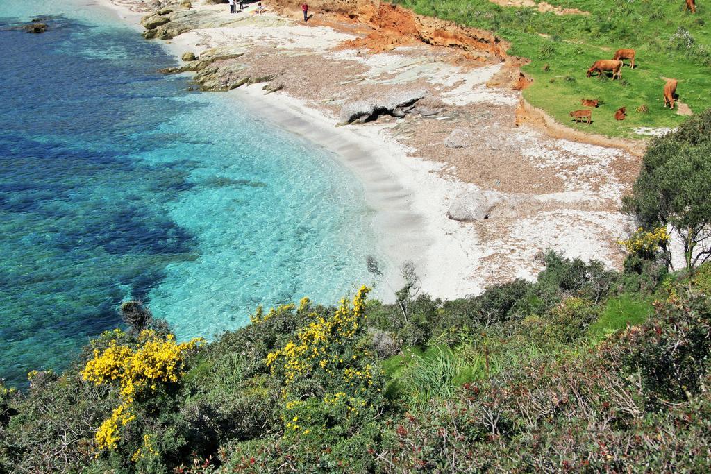 特乌拉达Agriturismo S'Arxola别墅 外观 照片