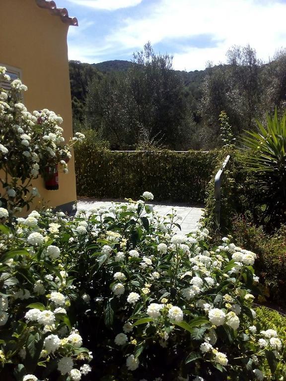 特乌拉达Agriturismo S'Arxola别墅 外观 照片