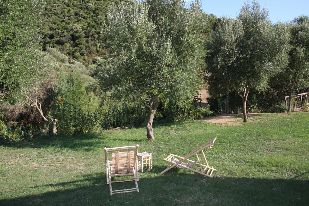 特乌拉达Agriturismo S'Arxola别墅 外观 照片