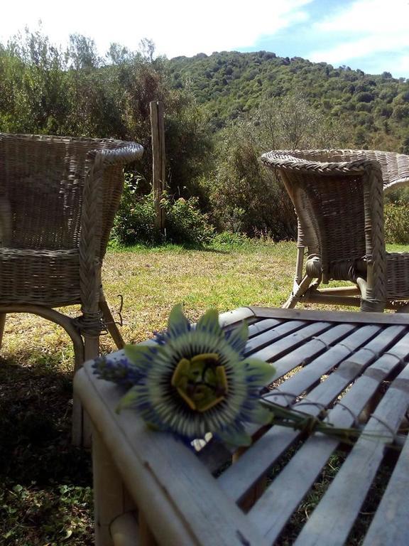 特乌拉达Agriturismo S'Arxola别墅 外观 照片