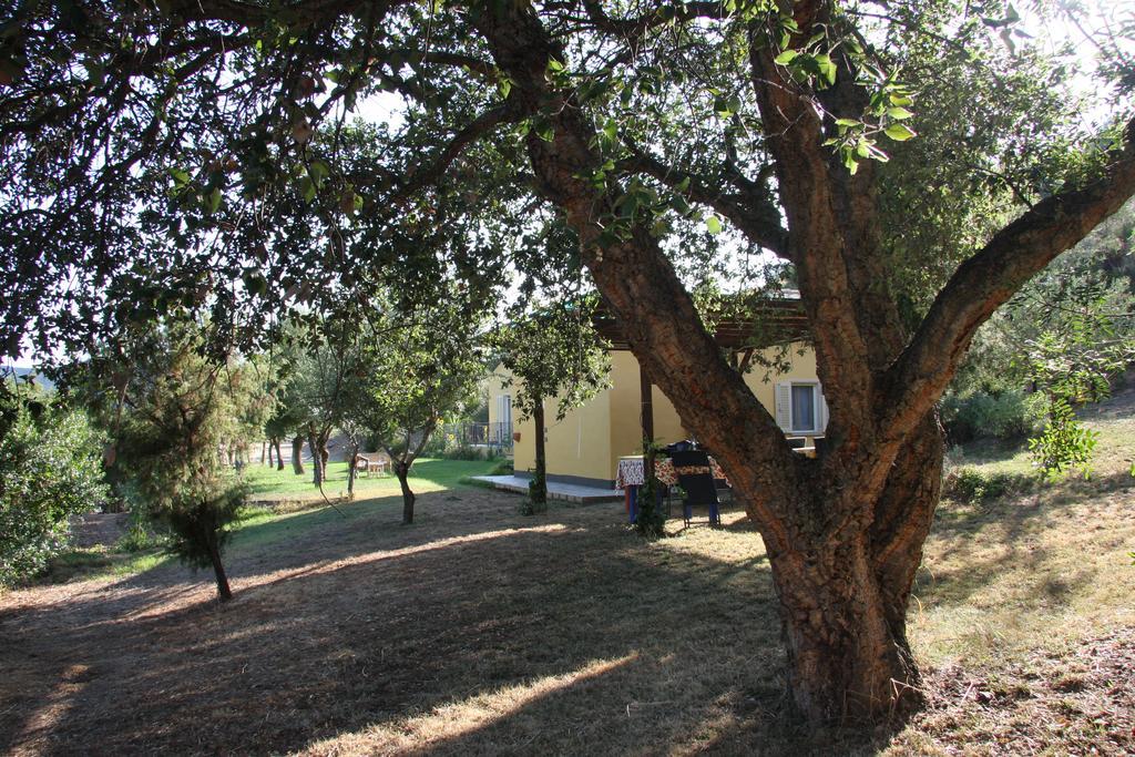 特乌拉达Agriturismo S'Arxola别墅 外观 照片